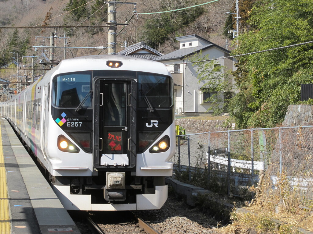 E257系特急通過