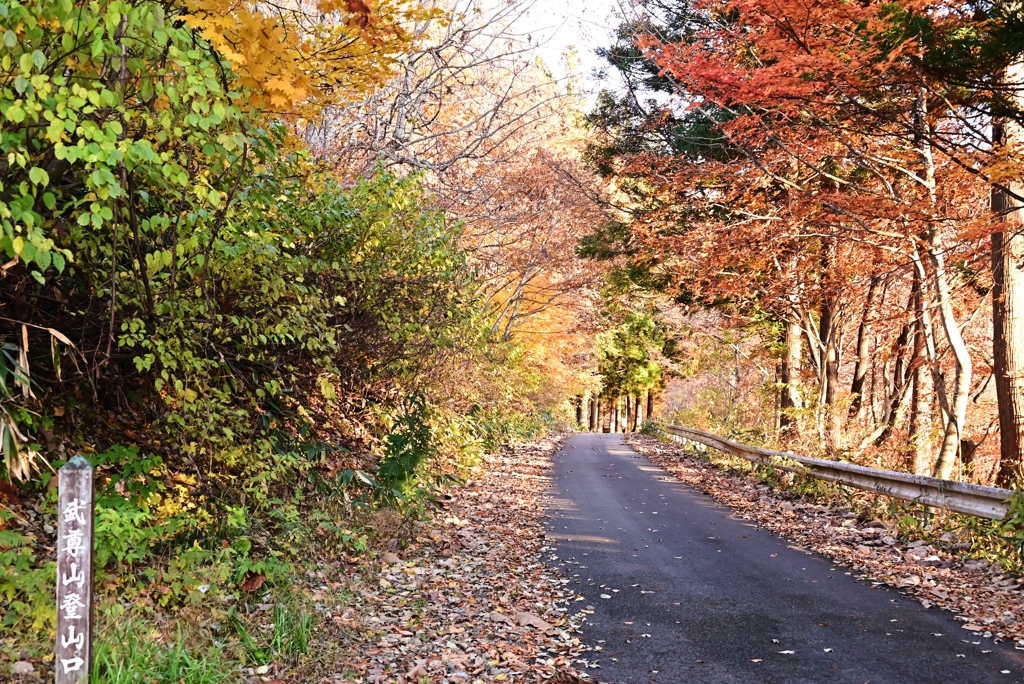登山口の紅葉