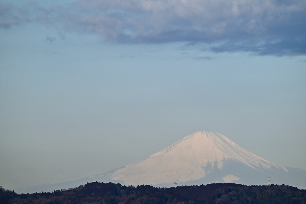 朝富士 7