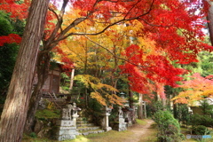 色とりどり