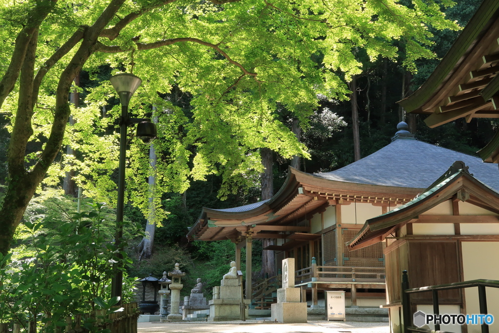 長谷寺御影堂