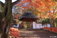 山寺の秋