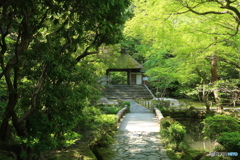 みどり