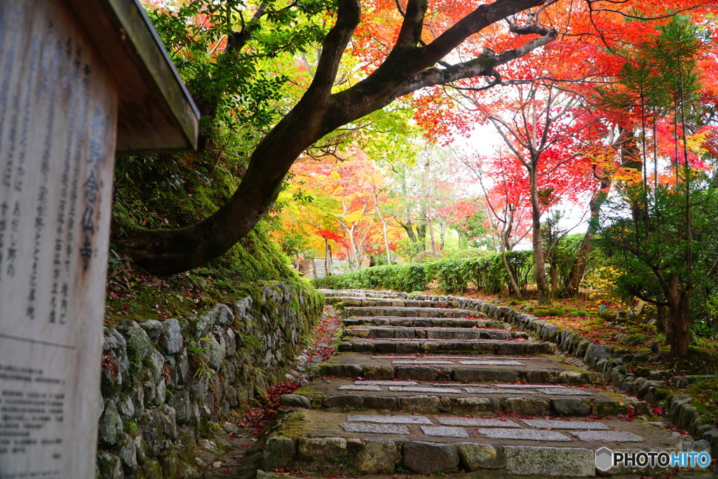 至る化野念仏寺