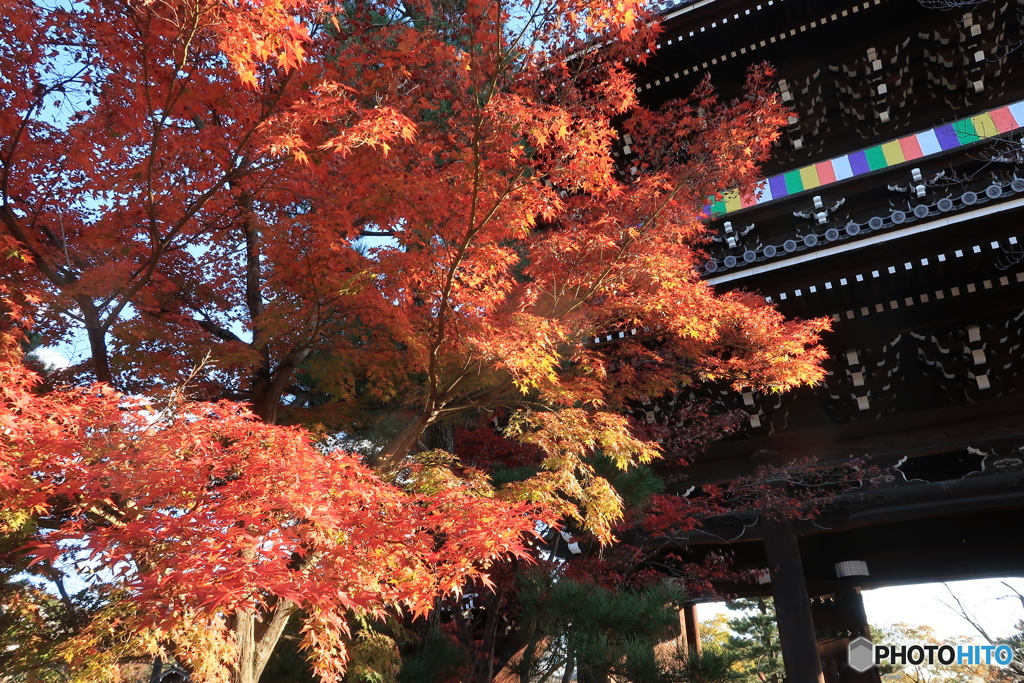 金戒光明寺山門