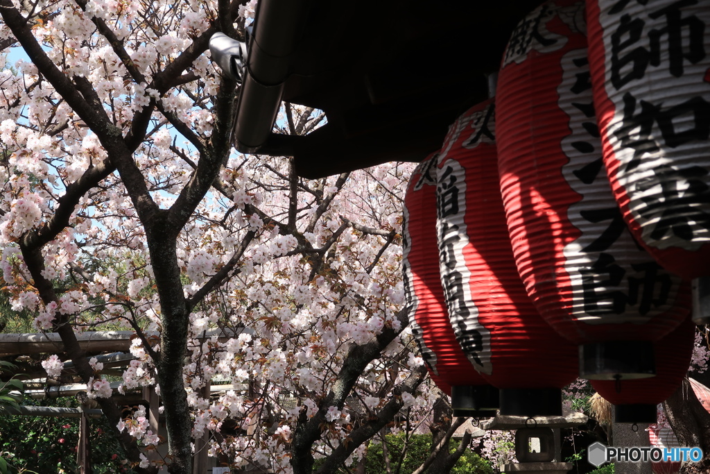 京都雨宝院２