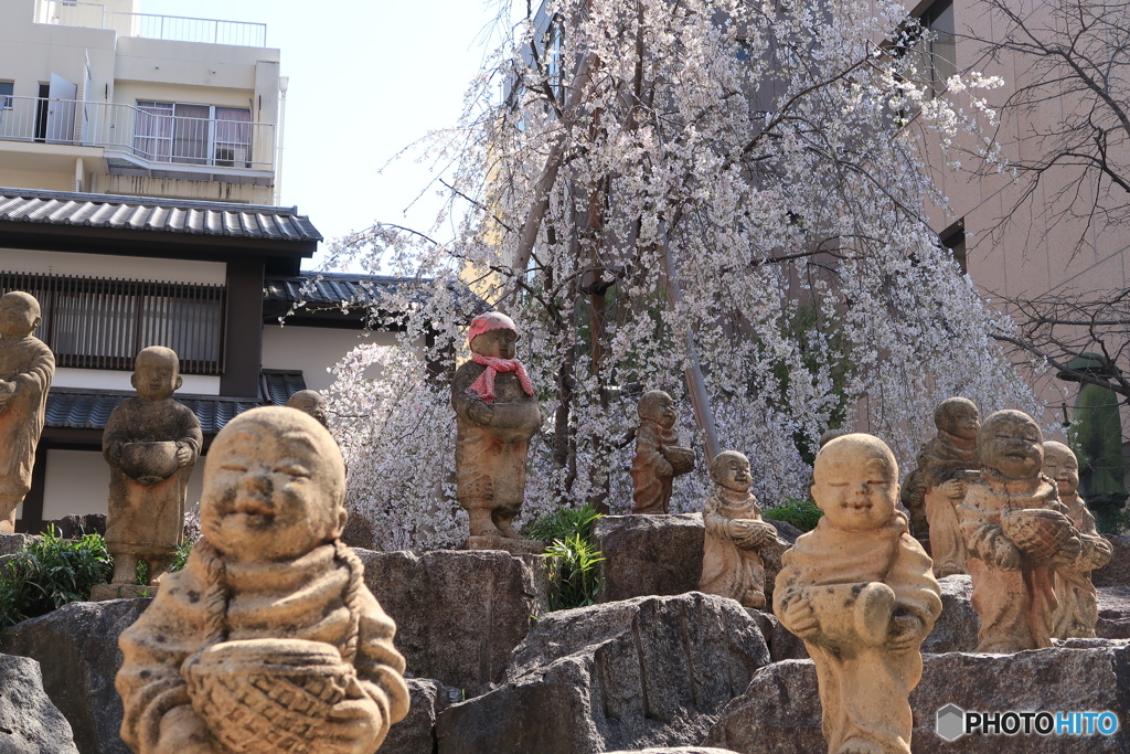 春に笑う