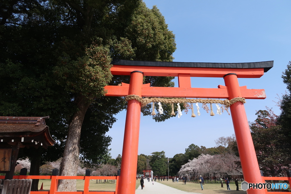 春の古社