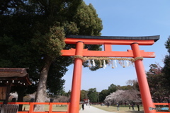 春の古社