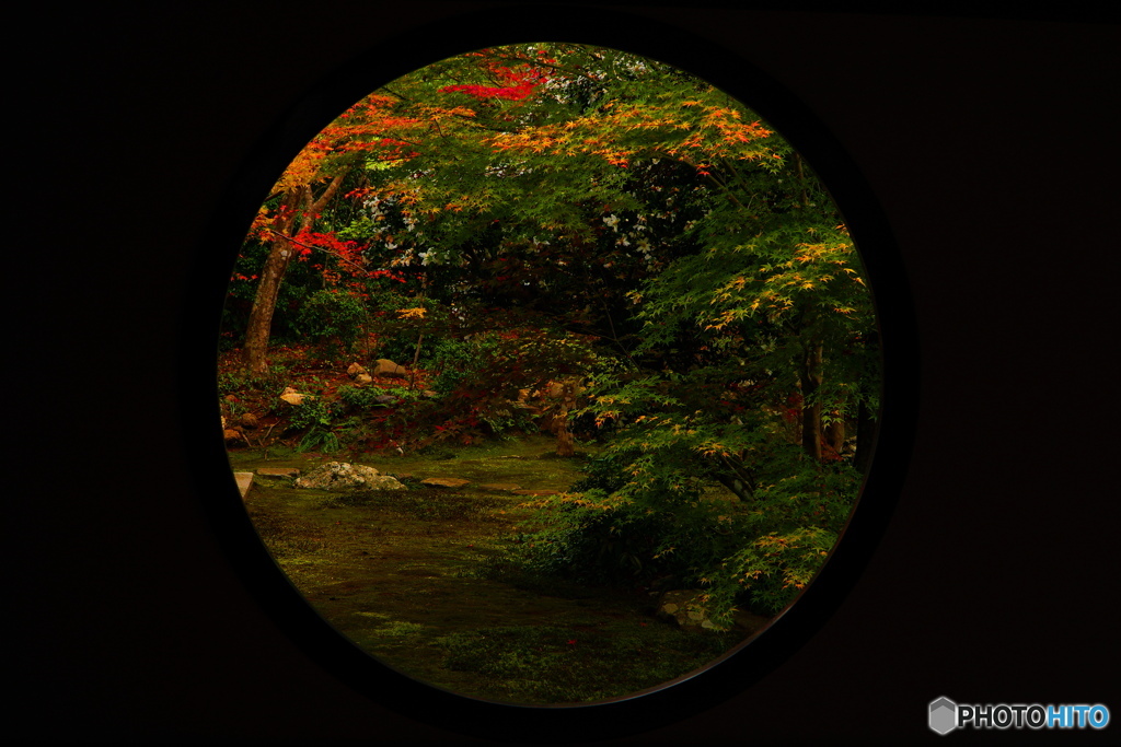 悟りの向こう側