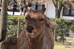 こんにちは、ロクさん。