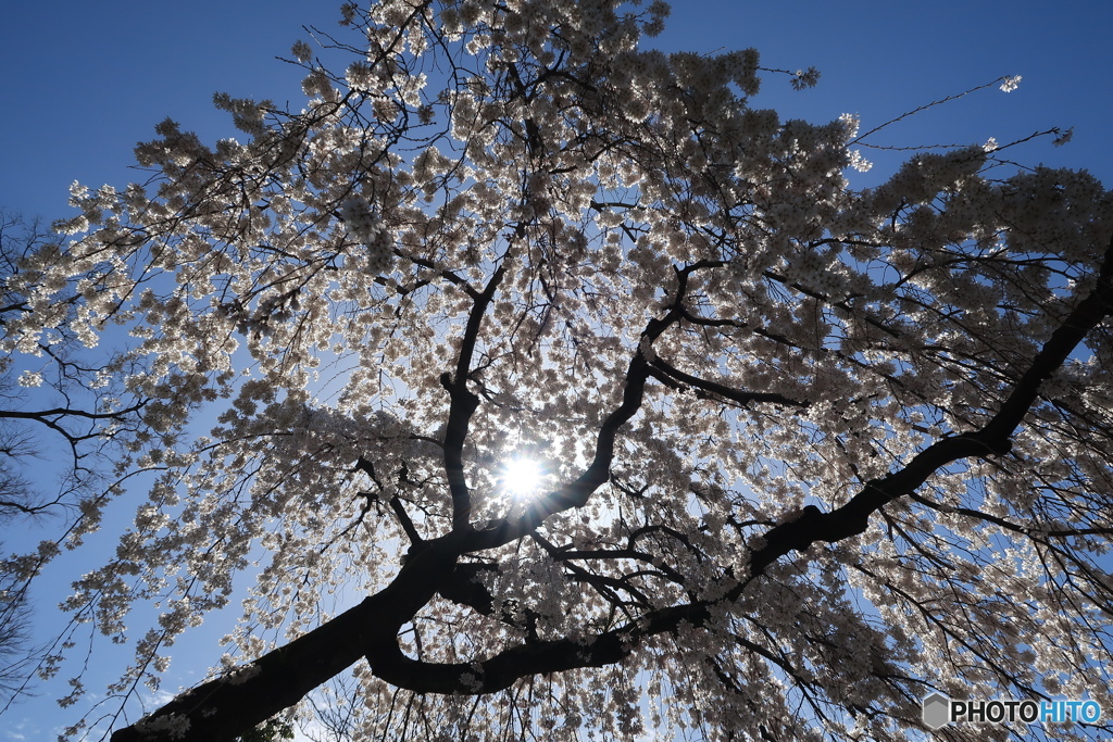 光芒