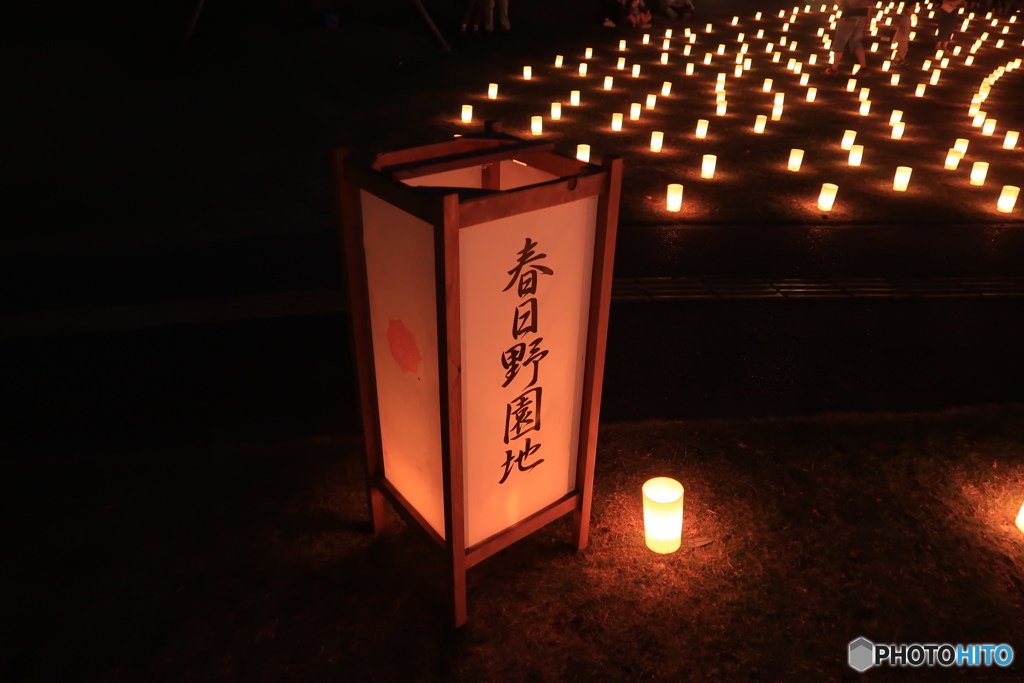奈良燈花会２０１９