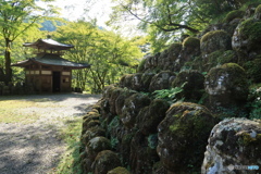 静かなる羅漢