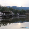 浮御堂の朝