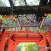 神域の藤花