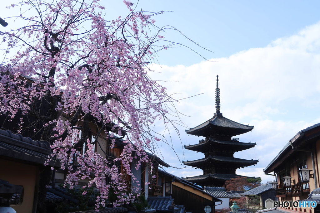 京都の春