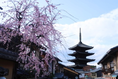 京都の春