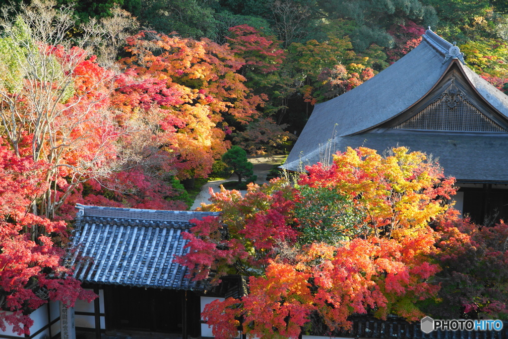 絶景かな