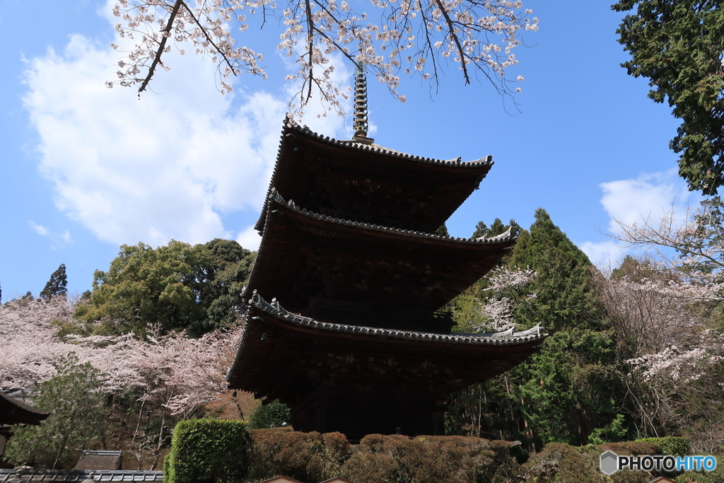 三井寺三重塔