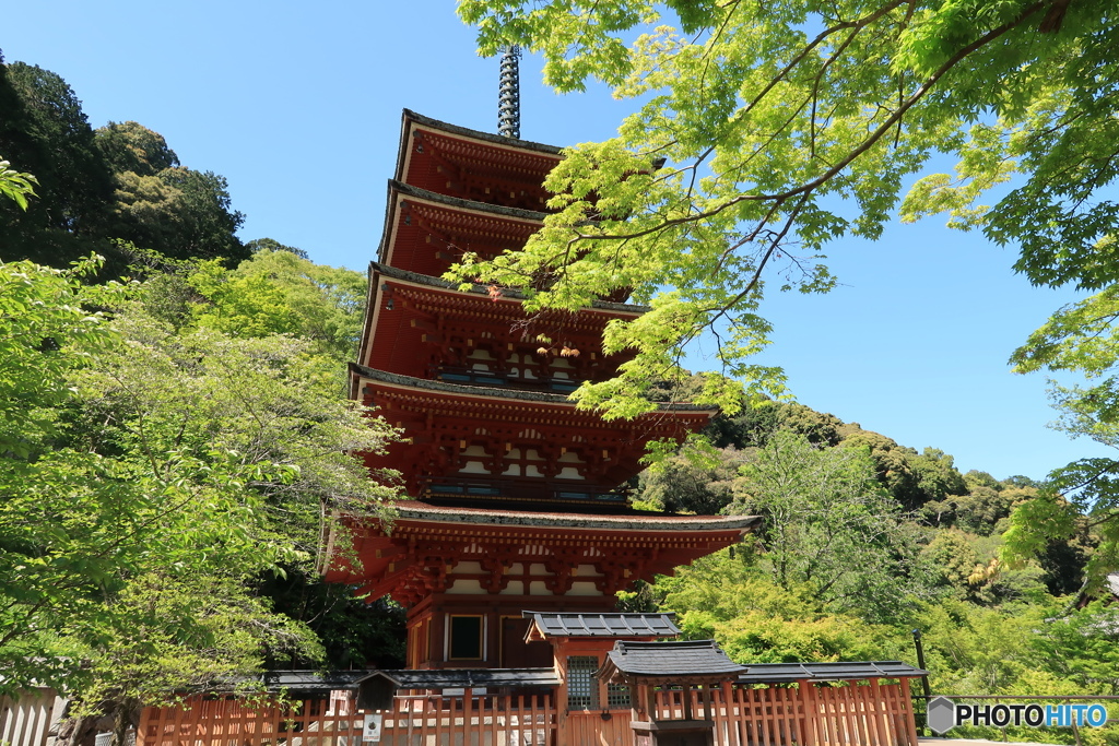 長谷寺五重塔