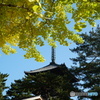 興福寺五重塔