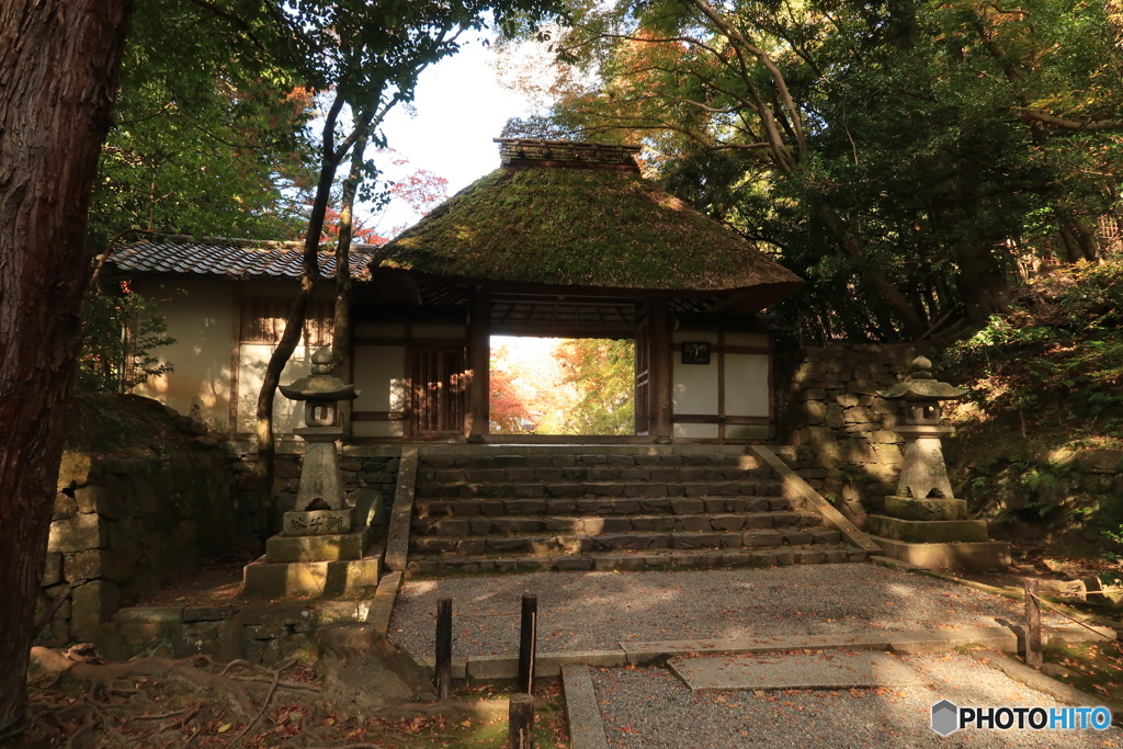 法然院山門２