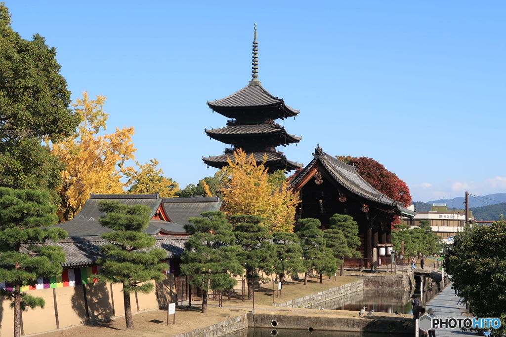 東寺の秋１