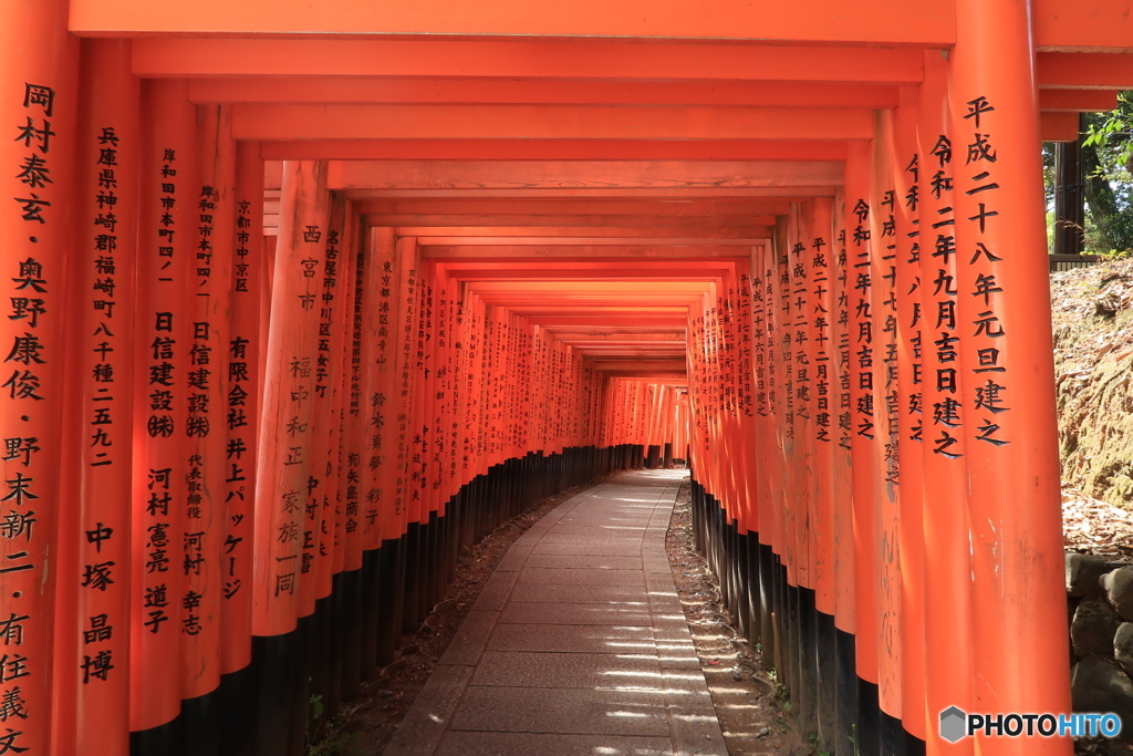 裏千本鳥居