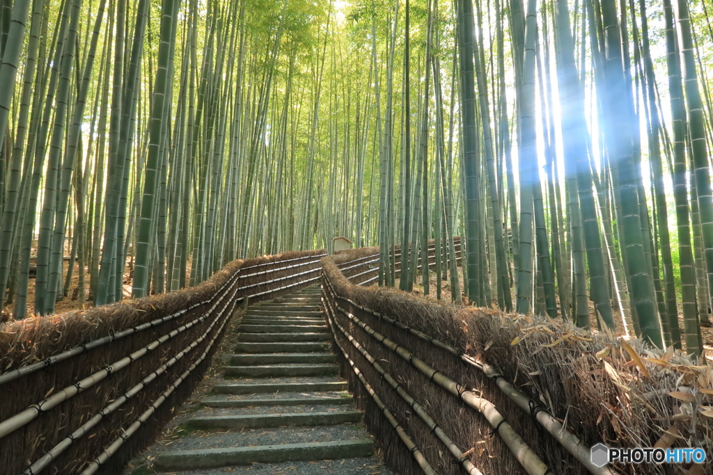 登り路