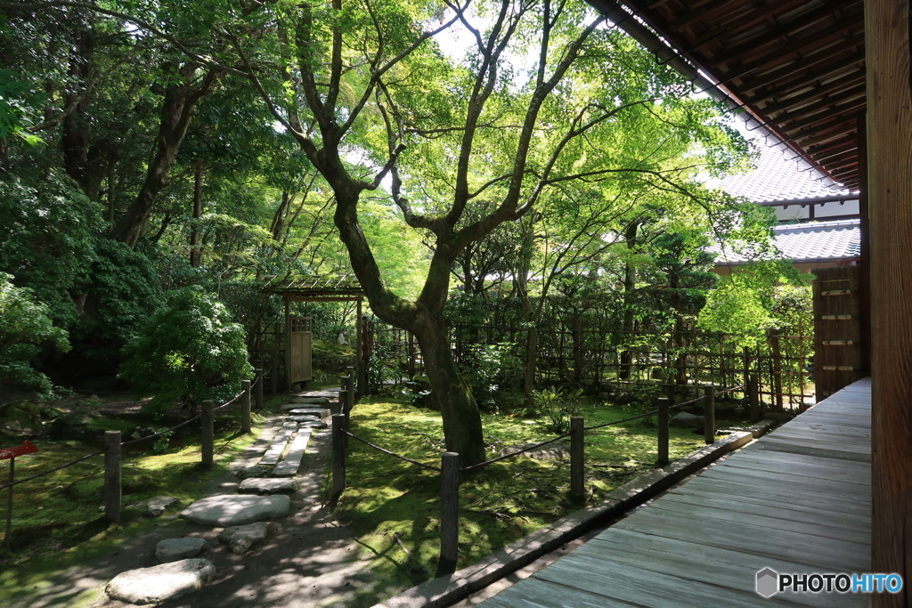 庭園への誘い