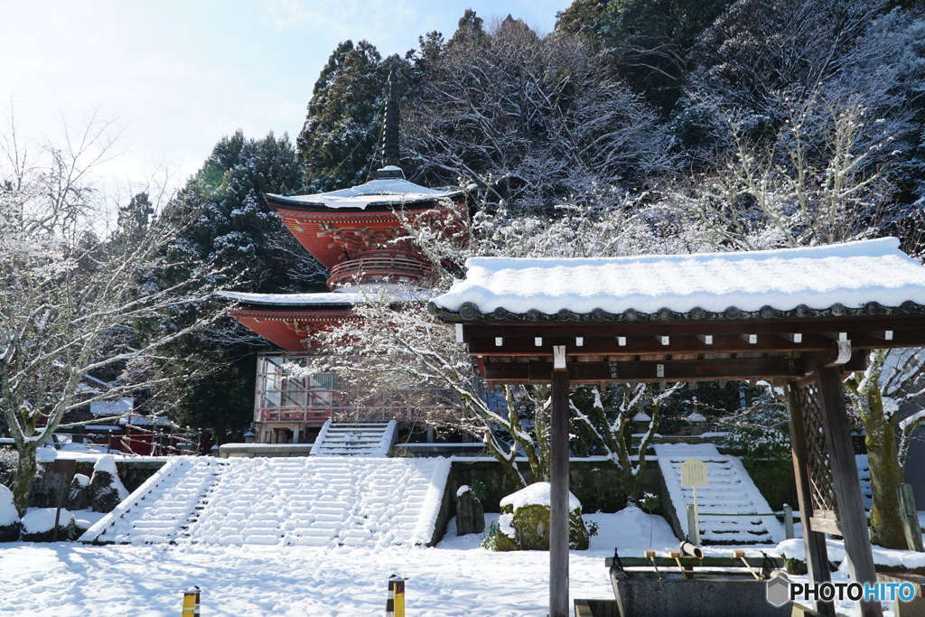 雪化粧