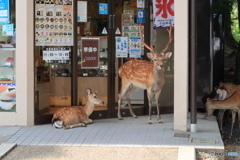 開店待ち