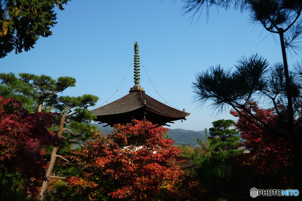 常寂光寺多宝塔