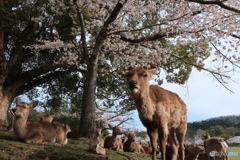 勢揃い