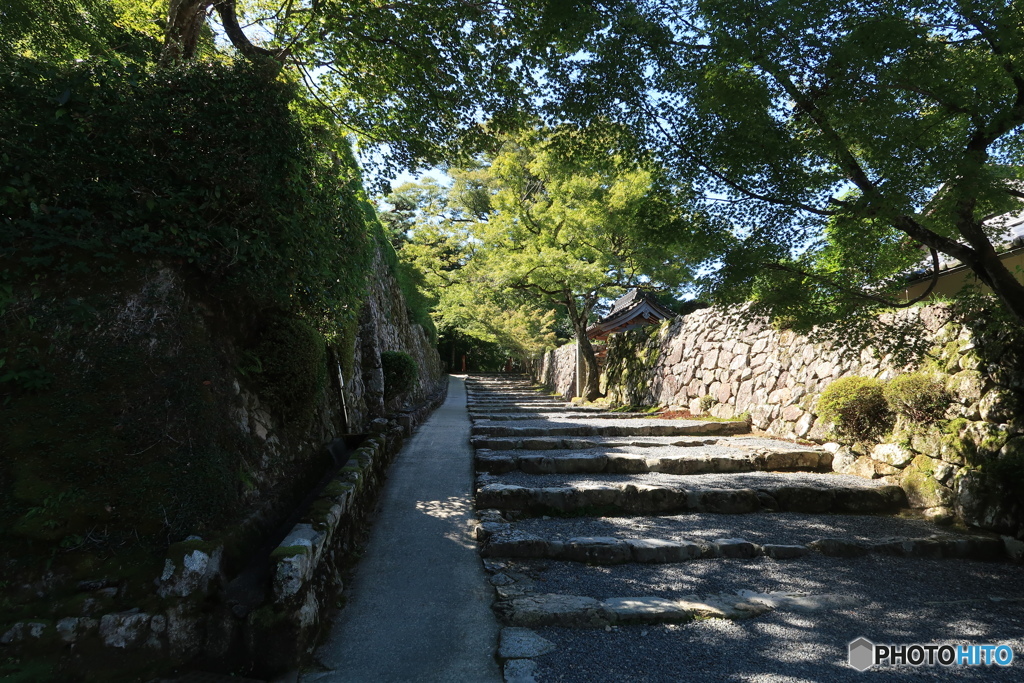 三千院への道