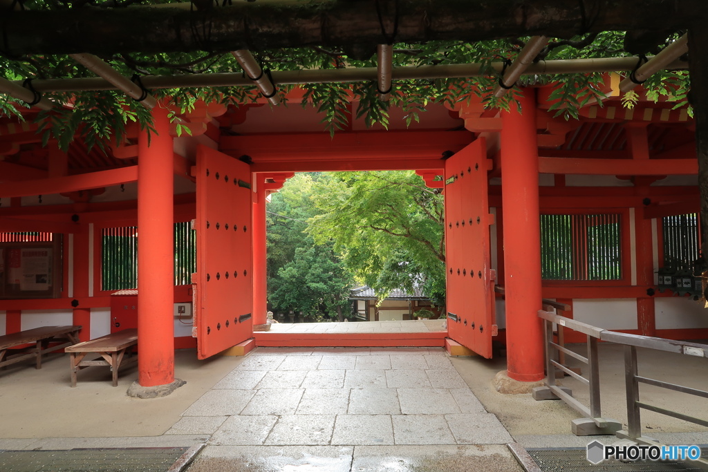 神域より望む