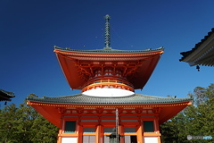 高野山壇上伽藍根本大塔