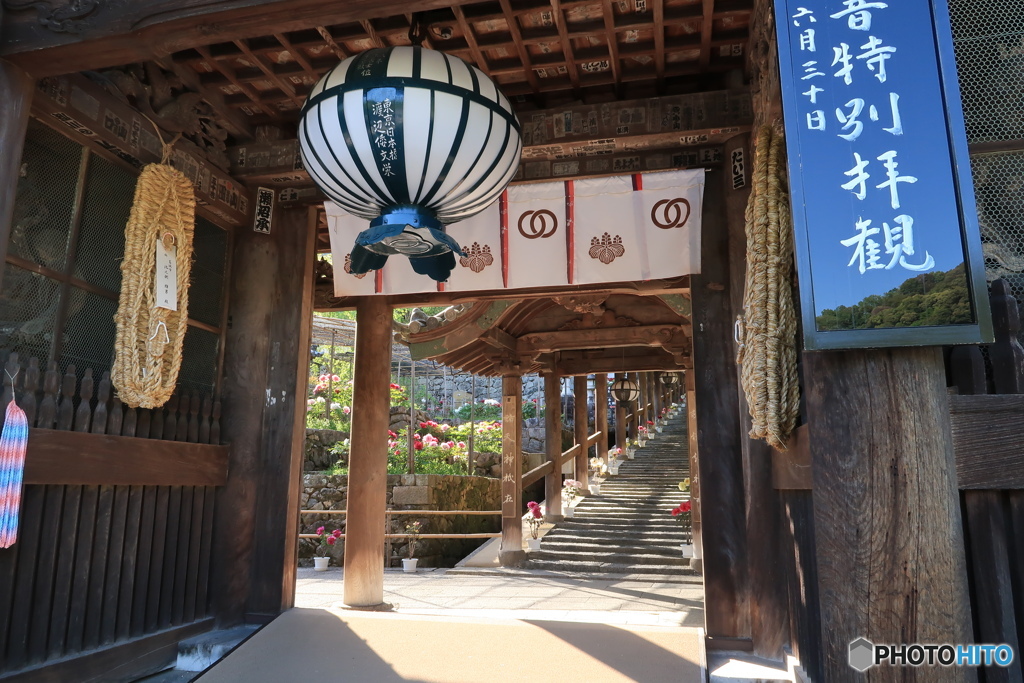 奈良長谷寺仁王門