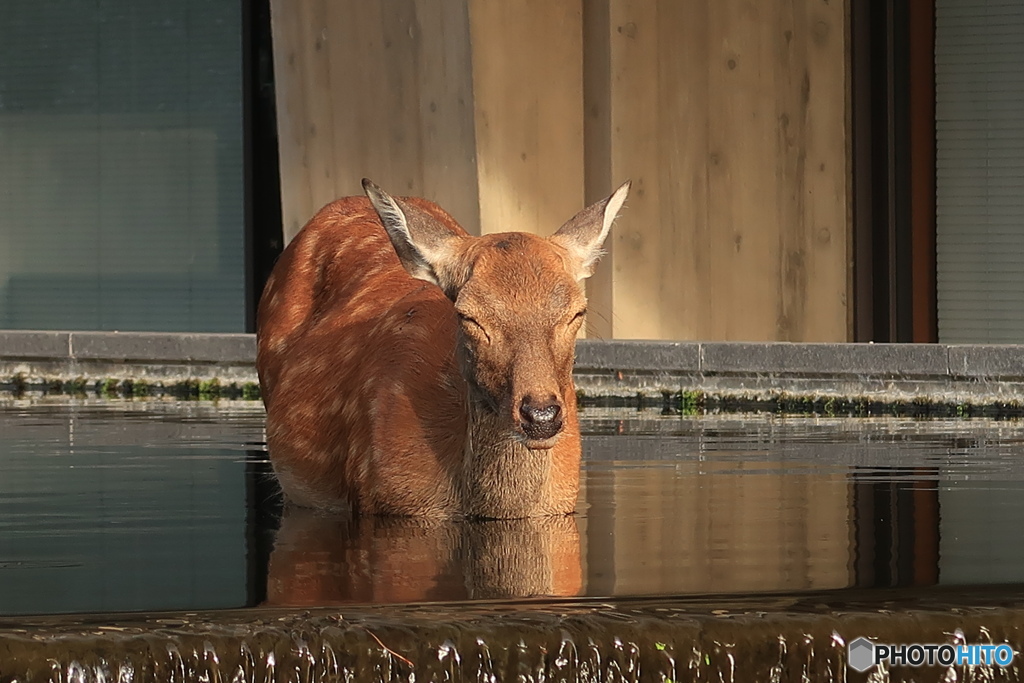 いい湯だな