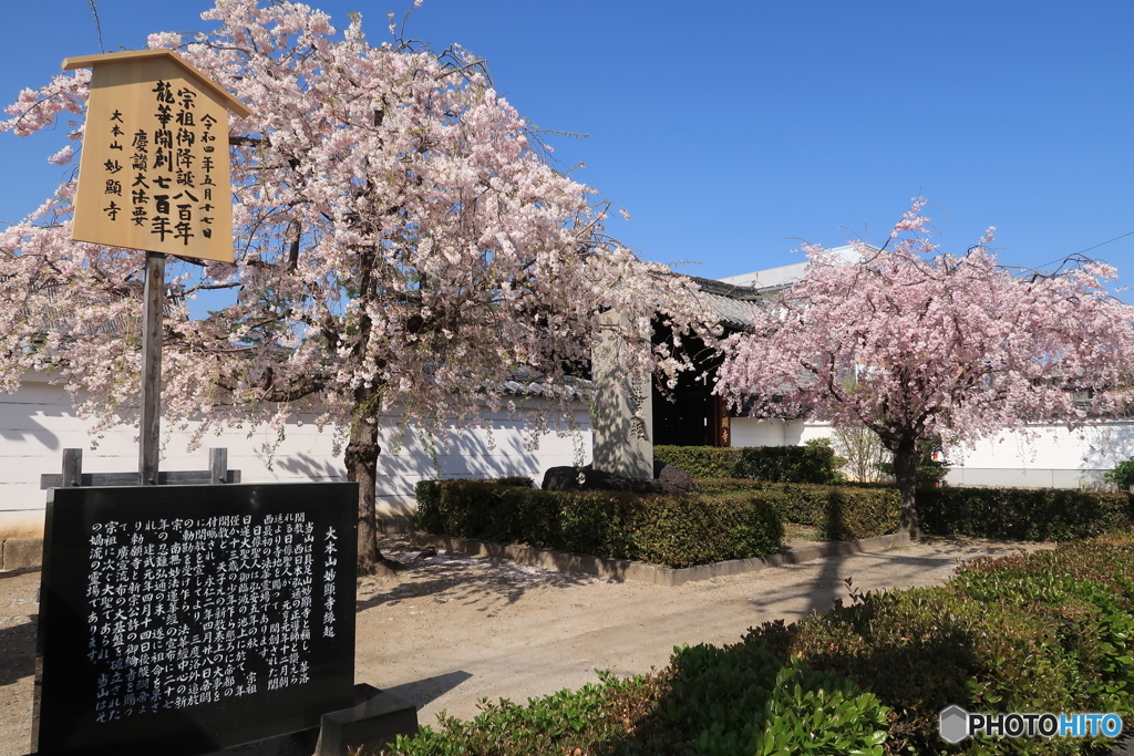 京都妙顕寺１