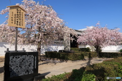 京都妙顕寺１