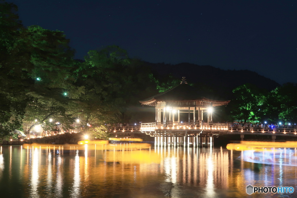 燈花会夜景