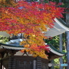 高野山壇上伽藍六角経蔵