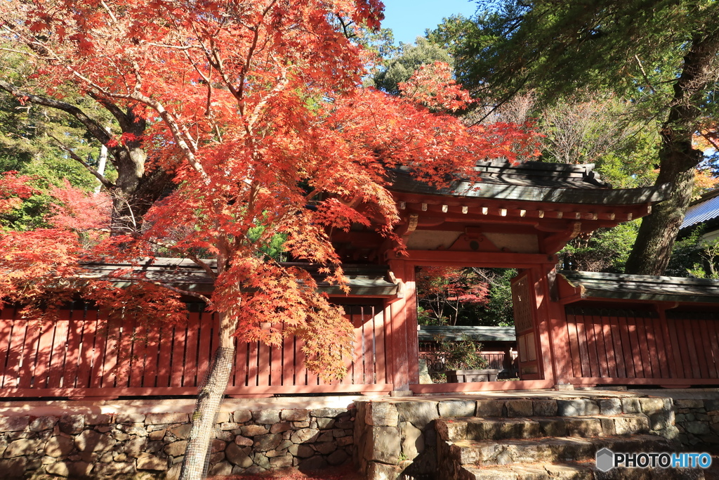 神護寺和気公霊廟