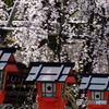 朱と銀