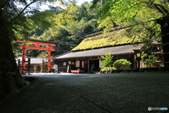 平野屋と愛宕神社鳥居