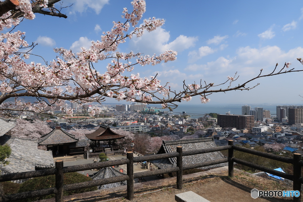 琵琶湖を望む