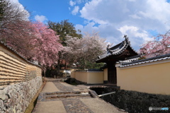 華の路
