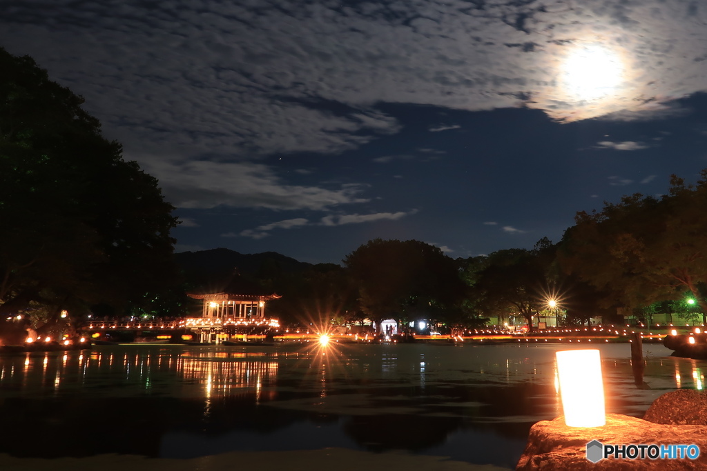 朧月夜